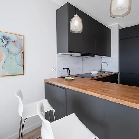 Kopcinskiego Homely By Bookinghost Lodz