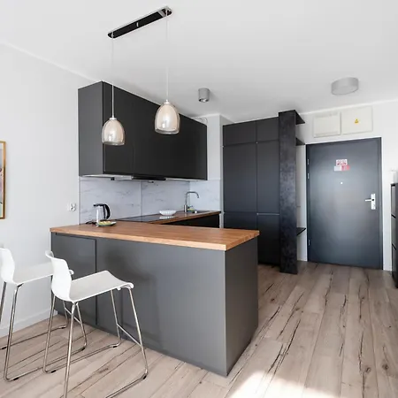 Kopcinskiego Homely By Bookinghost Lodz